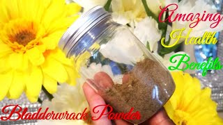 Bladderwrack Powder Amazing Health BenefitsDr Sebi Inspired [upl. by Oirramed]