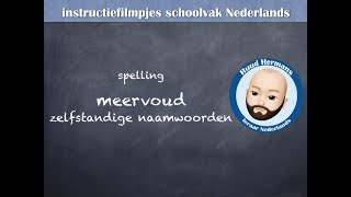 Spelling meervoud zelfstandige naamwoorden [upl. by Releyks]