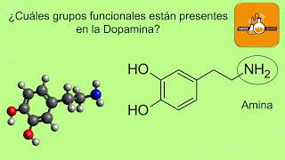 Grupos funcionales presentes en la Dopamina [upl. by Ikkiv]