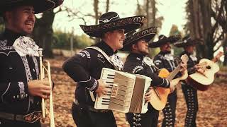 cumpleaños feliz  Mariachi Conce [upl. by Goldfarb]