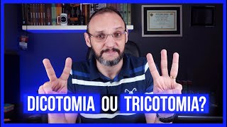 DICOTOMIA OU TRICOTOMIA Alma e espírito são a mesma coisa [upl. by Anir148]