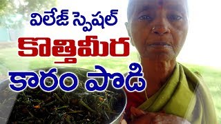 Kothimeera Podi l కొత్తిమీర కారం పొడి l Coriander Powder l villagefood4u [upl. by Reinwald]