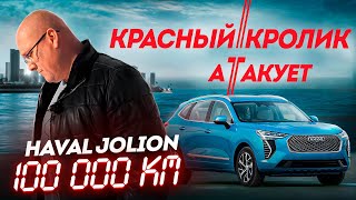 haval jolion с пробегом 100 000 км  красный кролик атакует [upl. by Nima]