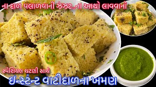 અચાનક મહેમાન આવે ત્યારે ઝટપટ બનાવો વાટીદાળના ઇન્સ્ટન્ટ ખમણ  Vati dal khaman  Instant Khaman Recipe [upl. by Otrebilif552]