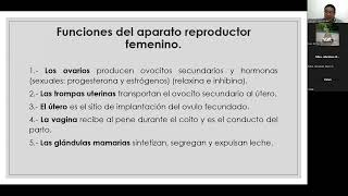 Anatomía del aparato reproductor femenino [upl. by Ataga]