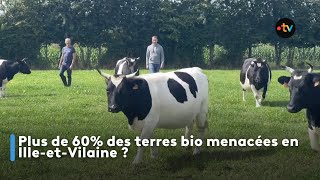 Plus de 60 des terres bio menacées en IlleetVilaine [upl. by Ruthven536]