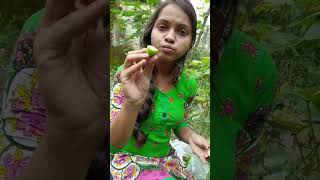 আজ আমার সাথে একটা অদ্ভুত ঘটনা ঘটলো 😱 gardening gardenplants garden naturelovers viralshorts [upl. by Zita]