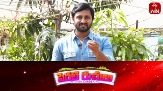 Perati Ruchulu  4th May 2024  Full Episode  ETV Abhiruchi [upl. by Enimajneb]