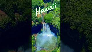 Aerial view Kauai in Hawaii 🇺🇸 [upl. by Fidel]