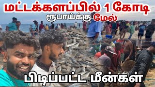 மட்டக்களப்பில் ஒரு கோடி ரூபாய்க்கு மேல் பிடிப்பட்ட மீன்கள்  Pk vlogs Tamil  batticaloa srilanka [upl. by Noraj]