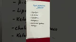 Lipid Metabolism Pathways lipids lipid metabolism metabolic [upl. by Berner]