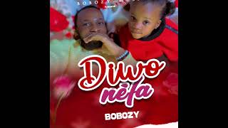 Bobozy  DiwoNéfa Audio Officiel [upl. by Cinda393]