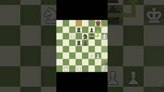 Vishy Anand BRILLIANCY chess shorts magnuscarlsen indianchess indianchess [upl. by Elva]