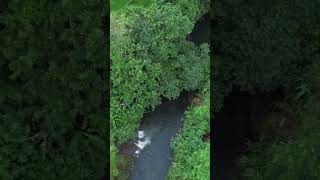 kali pelus kalipelus purwokerto jalanjalanpurwokerto drone sawah kali sungai shorts [upl. by Aynekal]