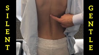 ASMR Real Person BACK EXAM  Skin and Mole Check Tracing Drawing Measuring  No talking [upl. by Lois547]