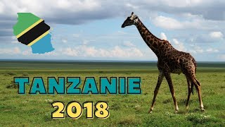 Dobrovolnictví v Tanzanii amp Safari Serengeti národní park amp Ngorongoro kráter [upl. by Nazarius]