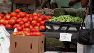 Charleston SC Farmers Market  Get Charleston Lifestyle Info [upl. by Asinla]