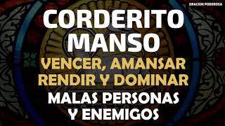 Corderito Manso oración para vencer amansar rendir y dominar malas personas y enemigos [upl. by Keen496]