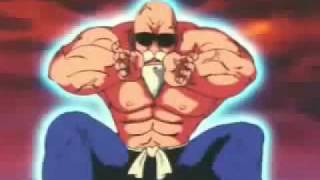 La Onda Glaciar Del Gran Maestro Roshi [upl. by Alleciram]