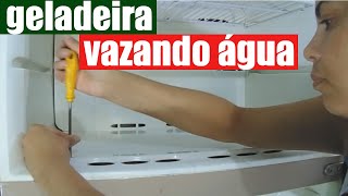 Minha Geladeira Vazando Água por Baixo Resolvi o Problema [upl. by Cormick]