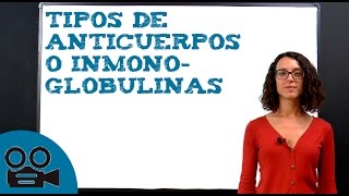 Tipos de anticuerpos o inmunoglobulinas [upl. by Eilrak804]