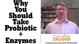 The Importance Of Digestive Enzymes And Candida  Ask Eric Bakker [upl. by Bose]