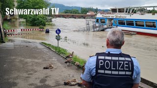 🚨🌊 Dramatisches Hochwasser in Bad Säckingen und WaldshutTiengen am Hochrhein 01062024 [upl. by Annahsit881]