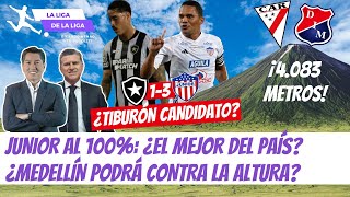 ¿El Fútbol de Junior vs Botafogo lo Hace Candidato ¿Medellín Podrá vs Always Ready LaLigaDeLaLiga [upl. by Anairol]