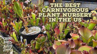 The Most Epic Carnivorous Plant Nursery [upl. by Dallman]