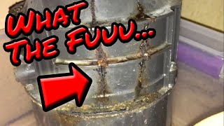 DO NOT BUY This Garbage Disposal is GARBAGE InSinkerator Badger Replacement Installation Review [upl. by Lash]