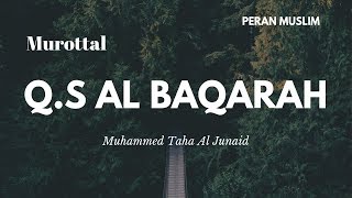 Murottal Anak Merdu  Muhammed Taha Al Junaid  QS Al Baqarah Full [upl. by Merc999]