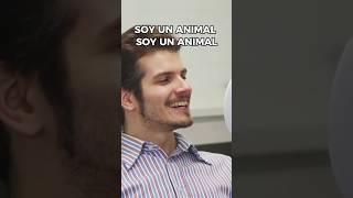 Los Cóndores NO se Suicidan animales [upl. by Esau16]