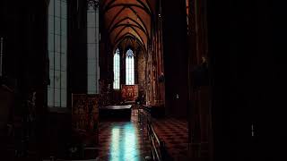 Stefans Domkirke vienna austria denmark travel viral imaginedragonstravel trending [upl. by Celestine]