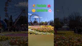 💐 Floriade Canberra 🌹🌸🌻💐🌸 [upl. by Palla]