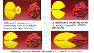 THROMBOLYTIC DRUGS [upl. by Yasui]