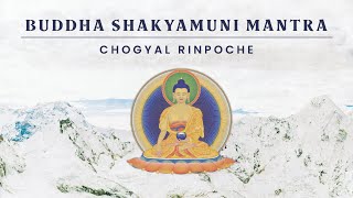 Buddha Shakyamuni — Mantra by Chogyal Rinpoche [upl. by Hpesoj]