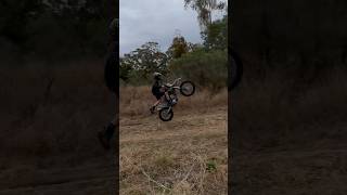 Klx 300r dirt wheelie [upl. by Malcah]