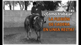 Arrendando Caballos  V17 ¿Cómo trabajr la Flexión Enanca en línea recta sin Barda [upl. by Liagaba]