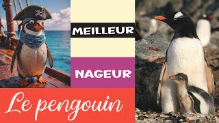 Pingouin  Animaux animaux [upl. by Lellih]