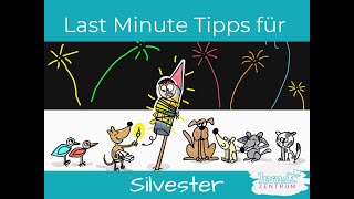 Silvester mit Hund  Last Minute Tipps [upl. by Ridgley924]