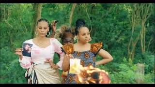 Lulu diva ft Nandy  Mtaalam Official video [upl. by Anitac]