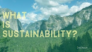 Sustainability 101 What is Sustainability [upl. by Northway]