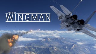 Project Wingman Full Playthrough 2023 Longplay [upl. by Arotak]