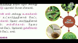 10th Tamil New bookIyal1Tamil sol UlagamDevaneya Bavanar i tamil Sara krishna academy [upl. by Mallon]