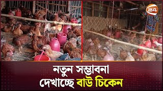 মাংস উৎপাদনে ব্রয়লারকে হার মানাচ্ছে বাউ চিকেন  BAU Chicken  Meet Produce  Channel 24 [upl. by Clarhe196]