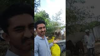 Miloner  YoYo  Aaj ki chai hamre hath 😅 minivlog shorts yoyo miloner youtubeshorts [upl. by Riedel364]