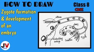 Medical Embryology  Difficult Concepts of Early Development Explained Simply [upl. by Shepp]