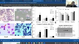 How to interpret figures in a primary literature article [upl. by Pathe510]