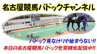 名古屋競馬パドックチャンネル [upl. by Frodine423]