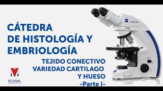 HISTOLOGÍA  TC Cartilago y hueso PARTE I  UCASAL [upl. by Merrielle]